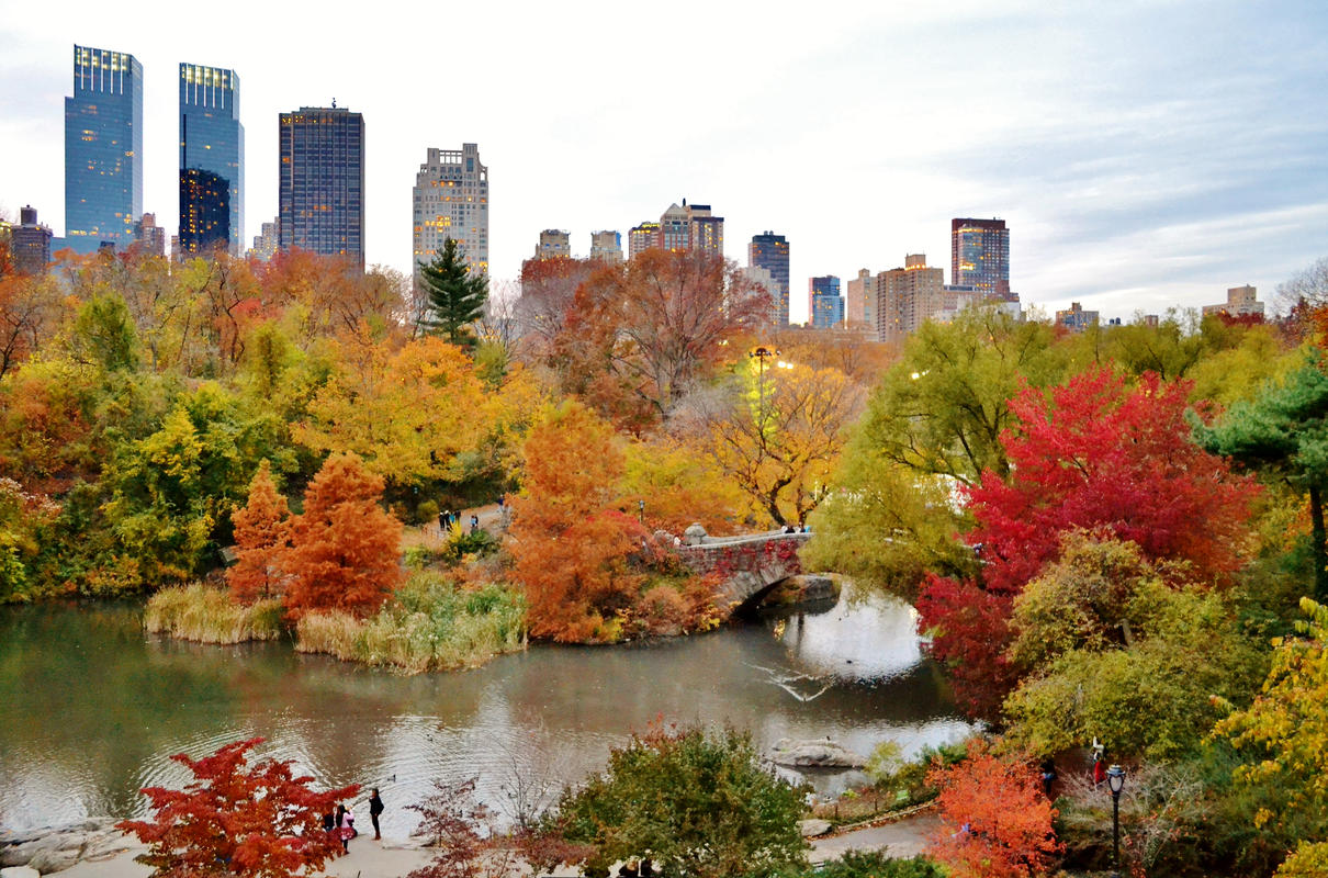 Best Spots In Central Park