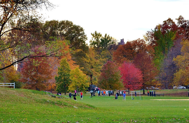 Children play on the fields of the North Meadow under red, green and yellow foliage.