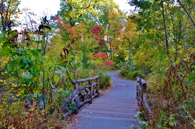 A bridge through fall foliage in the North Woods of Central Park