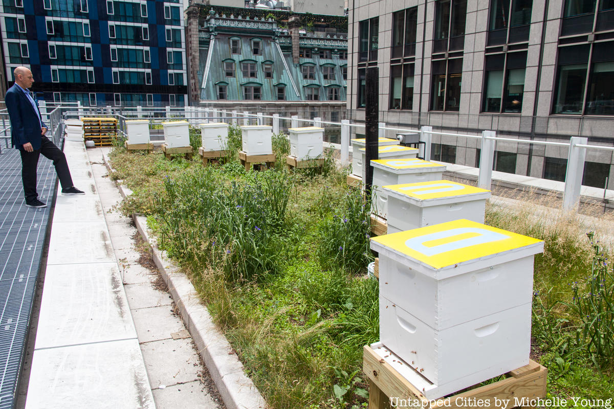 Watch a Live Bee Cam of the Hives Atop One Bryant Park Untapped New York