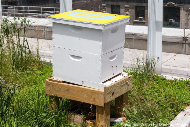 Watch a Live Bee Cam of the Hives Atop One Bryant Park - Untapped New York