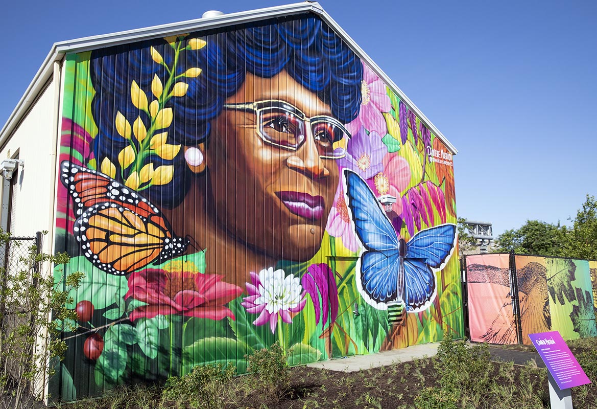 Inside the New Shirley Chisholm State Park in Brooklyn Along Jamaica