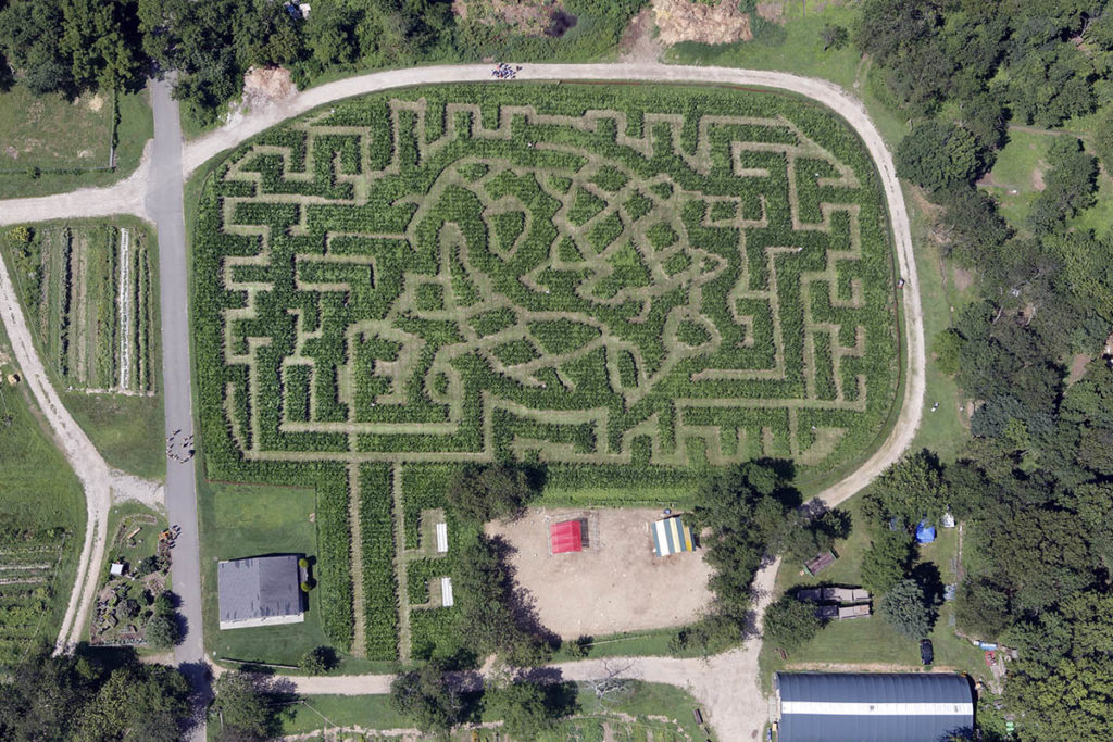 Get Lost in NYC’s Only Corn Maze, Shaped Like the World’s Fair