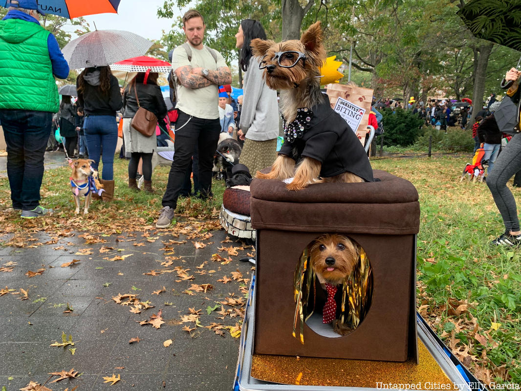 Adorable Photos from the 2019 Tompkins Square Halloween Dog Parade