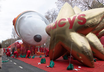 Snoopy and Macy's gold star balloons being inflated for the Macy's Thanksgiving Day Parade