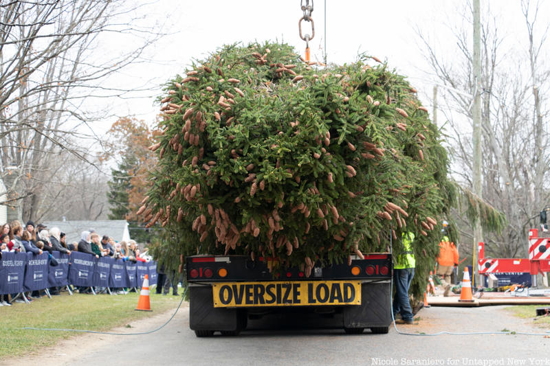 Rockefeller Christmas tree on truck