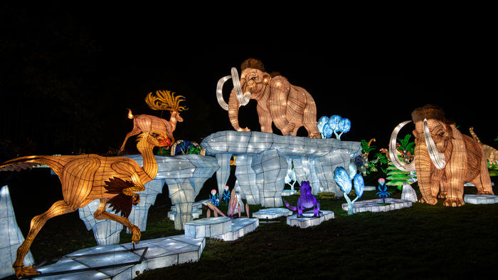 Animals crafted our of lights at the NYC lantern festival