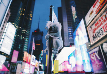 Koalas of NYC in Times Square