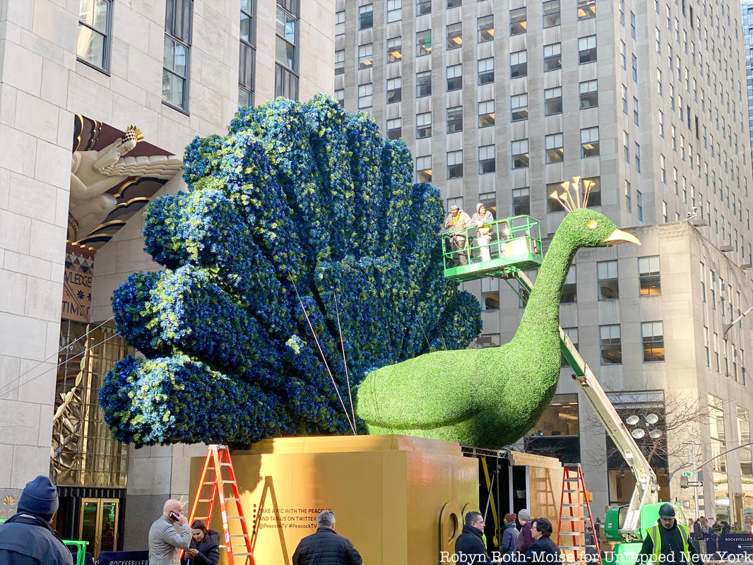 Giant peacock for NBC at Rockefeller Center