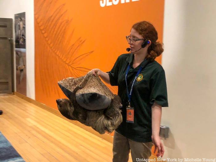 Roger the Sloth at the Brooklyn Children's Museum