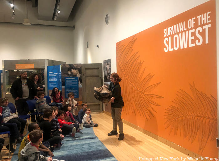 Survival of the Slowest at the Brooklyn Children's Museum