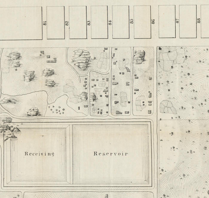 A map of the Seneca Village site in Central Park