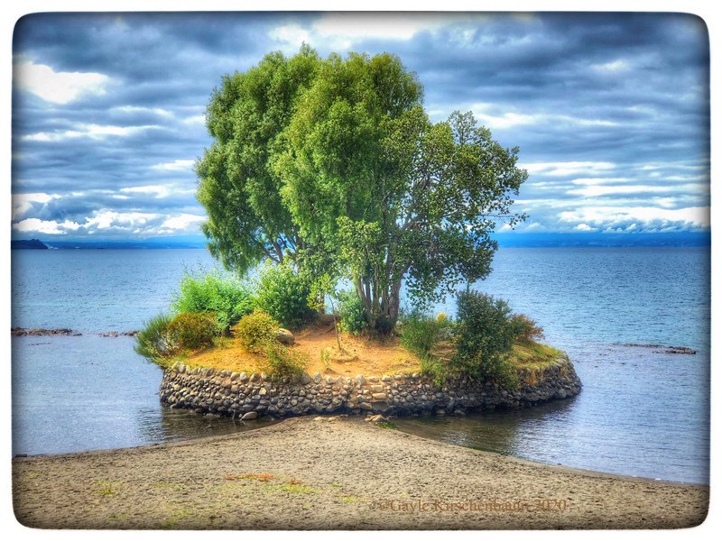 photo of island and tree by Gayle Kirschenbaum