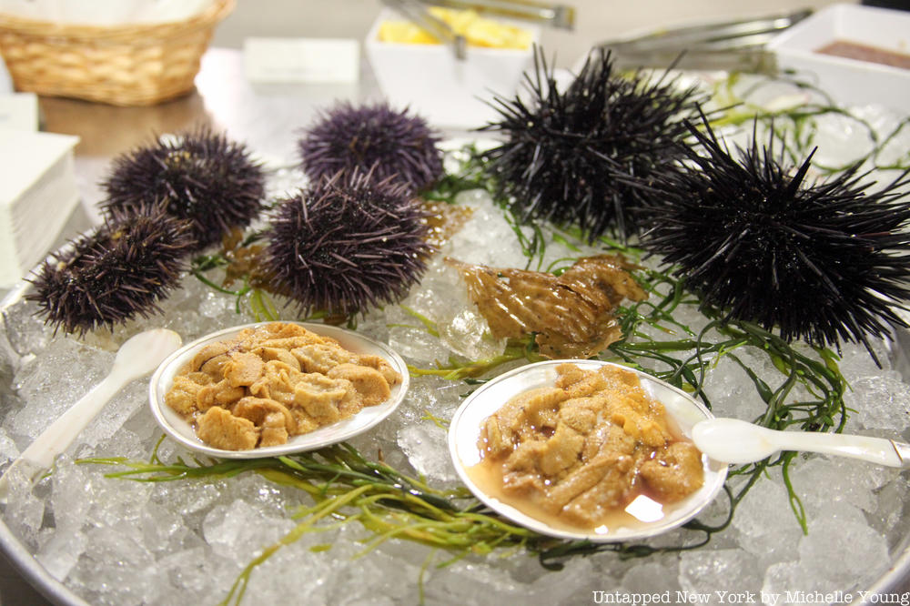 Sea urchin at Fulton Fish Market