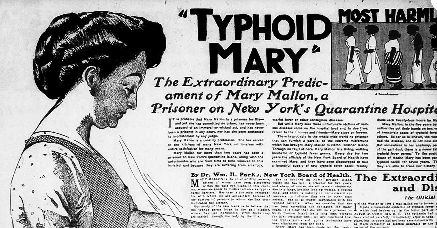 Typhoid Mary Newspaper article from 1909
