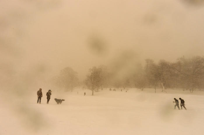 Snowstorm by Rebecca Norris Webb