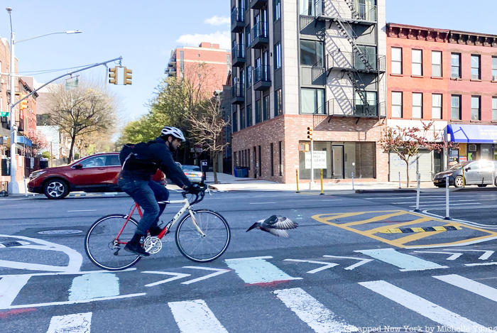 Biker on 4th Avenue Brooklyn