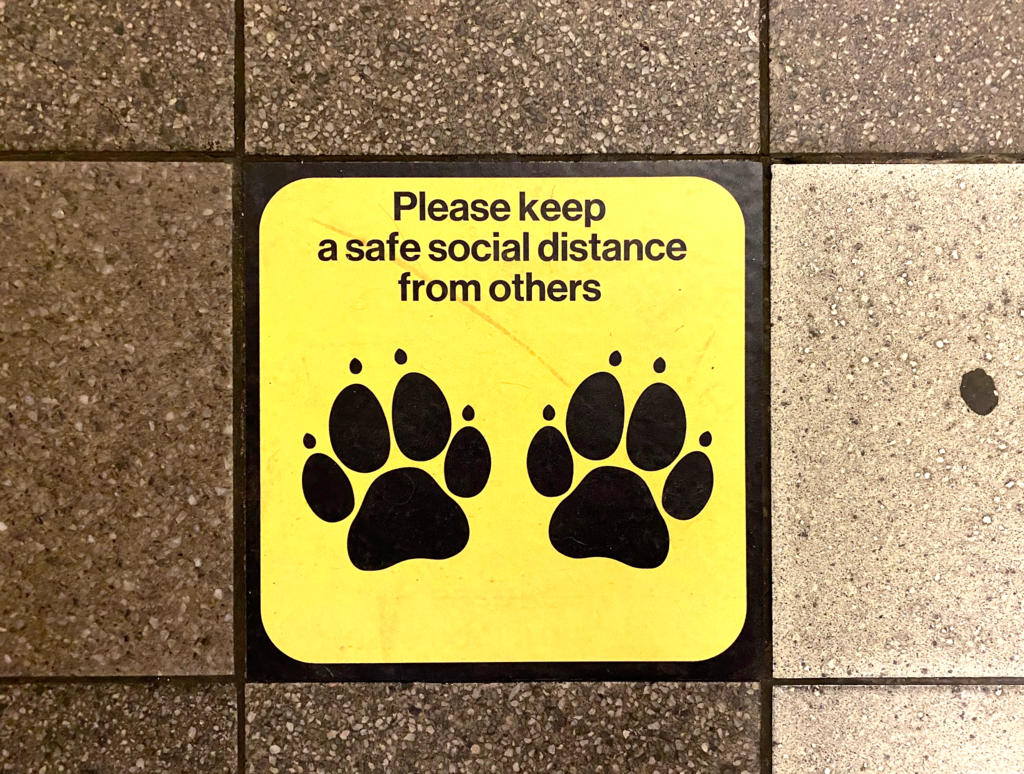 Dog print Social distancing decal in nyc subway
