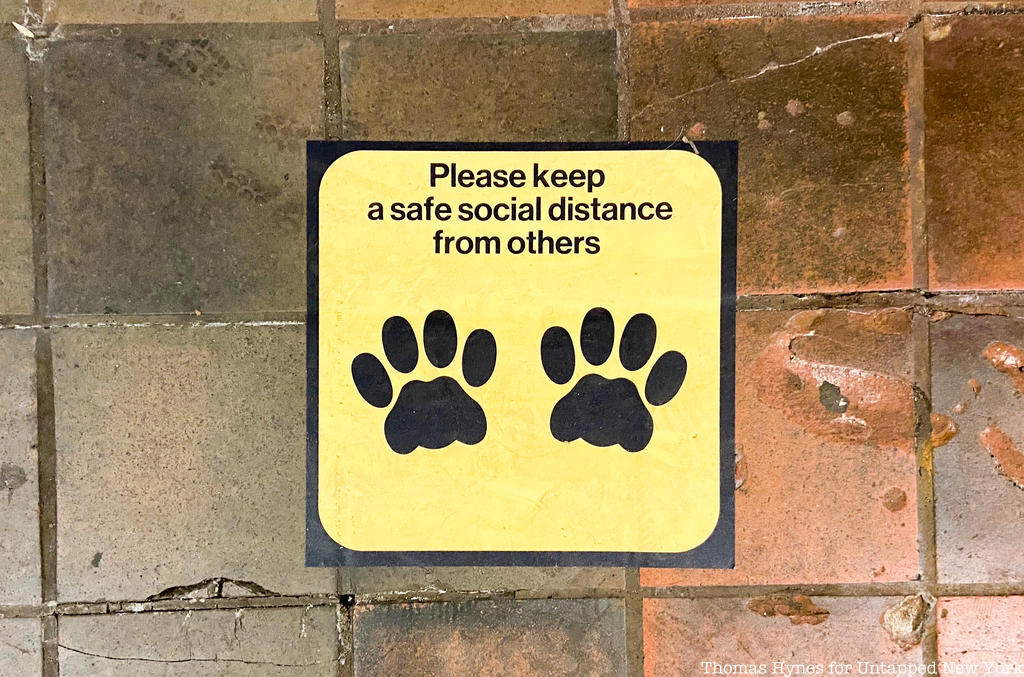 Dog Paw animal footprint in subway