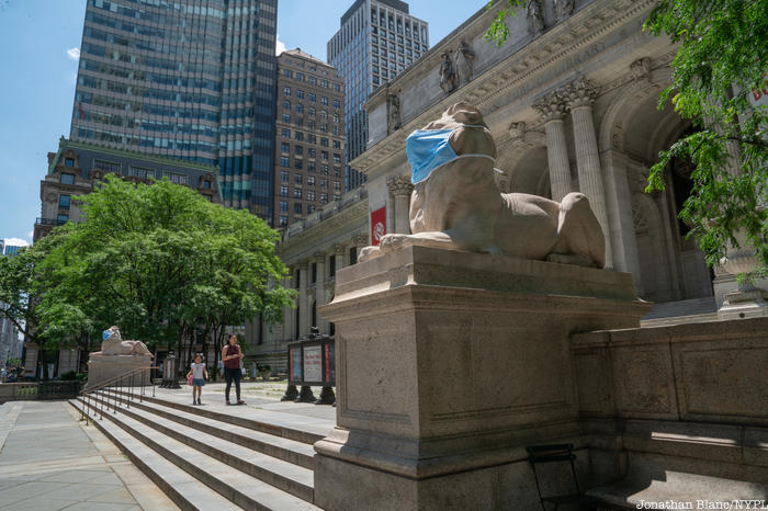 NYPL Lions masked from below staircase
