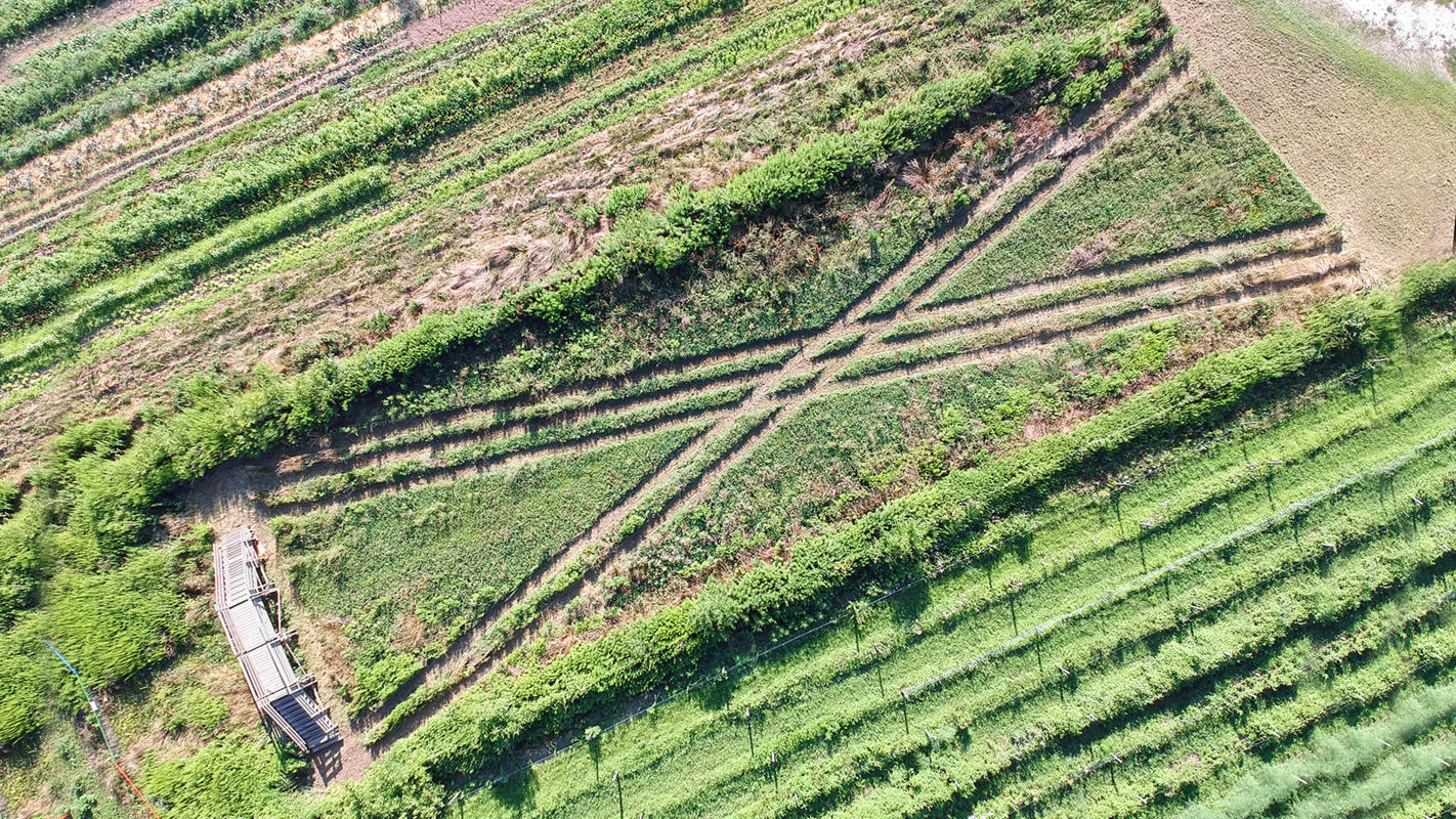 Cover Crop installation photo at Queens County Farm from above