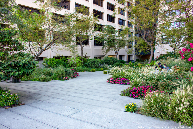 Flowers and plantings at Elevated Acre