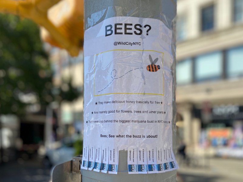 Bees flyer