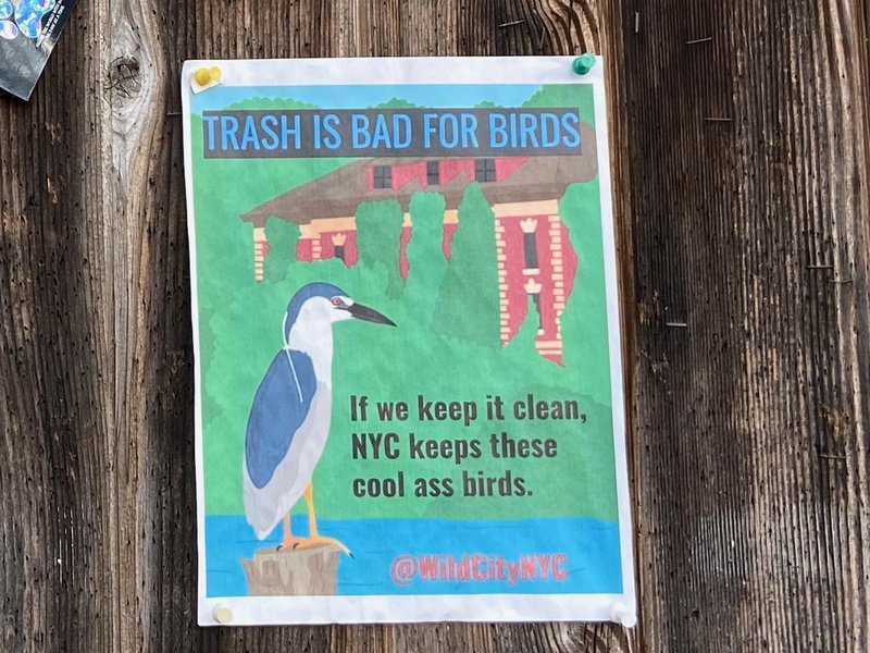 Trash Heron PSA