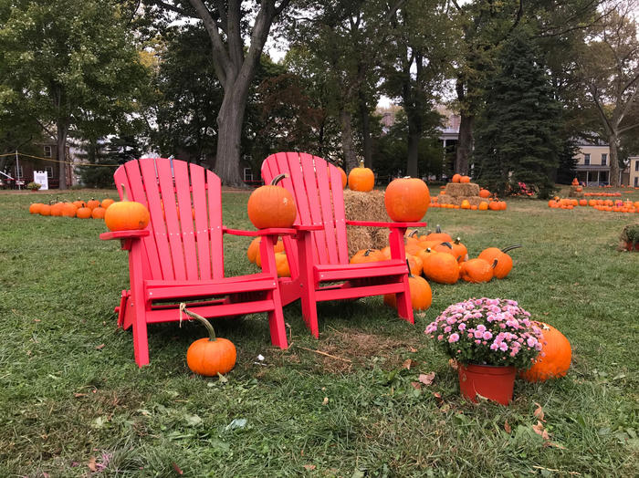 Halloween Events NYC: Pumpkins point on Governors Island