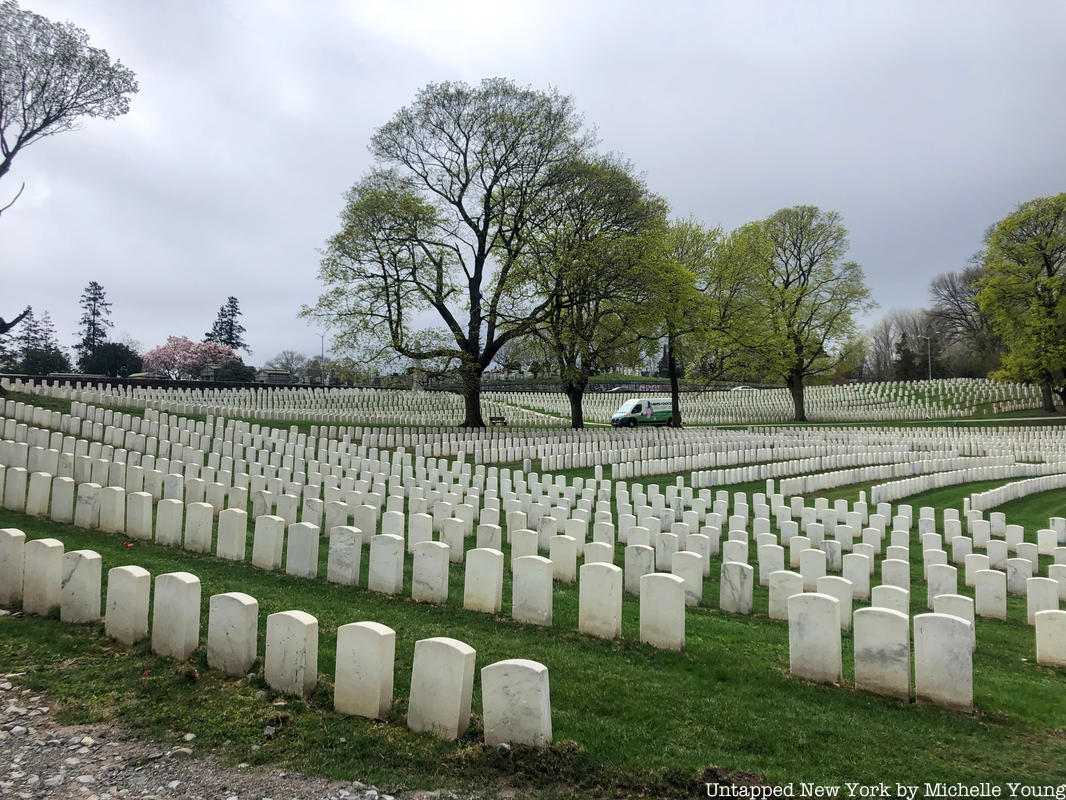Rows of military graves at Cypress Hills Cemetery