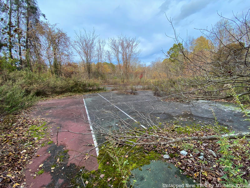 Abandoned tennis court 