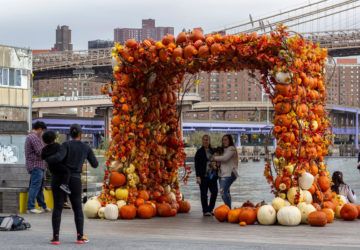 Thanksgiving pumpkin arch photo op