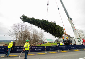 2020 Rockefeller Center Christmas Tree Cutting