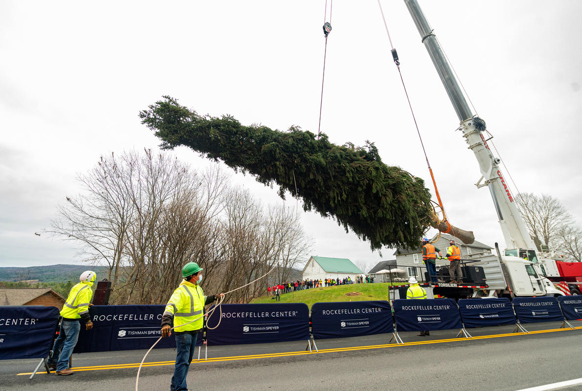 2020 Rockefeller Center Christmas Tree Cutting