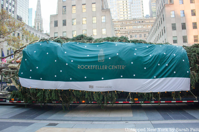 The tree arrives at Rockefeller Center