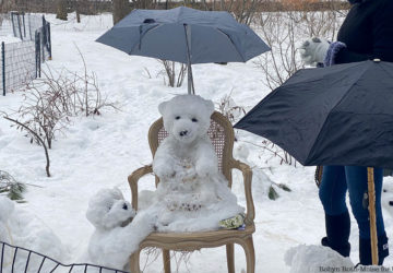 Snowbanksy polar bear sculptures in Central Park