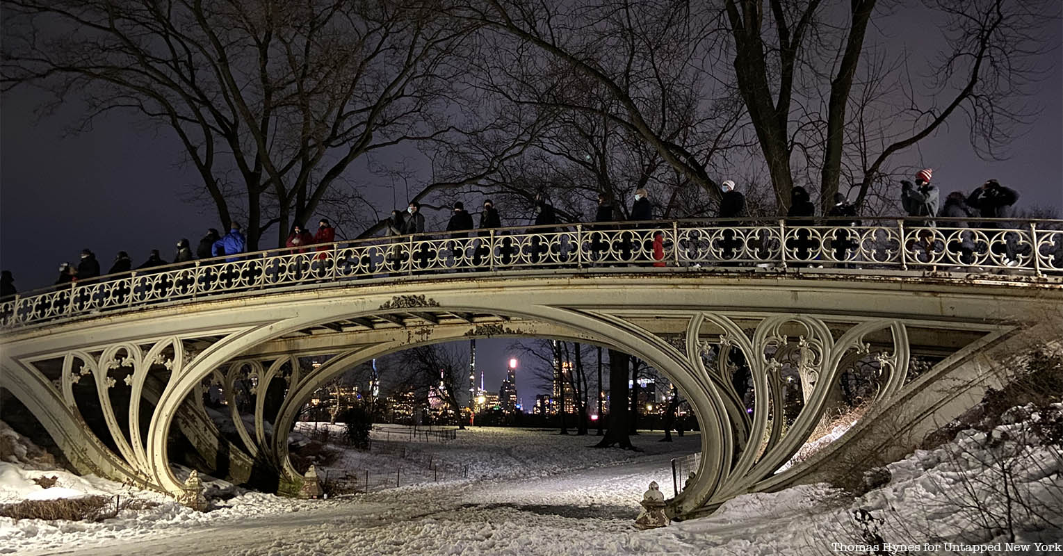 Snow owl viewers on bridge in Central Park