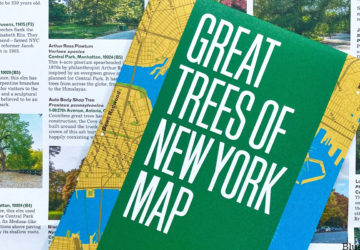 The Great Trees of New York Map