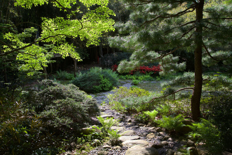 John P. Humes Japanese Stroll Garden. Photo by Andre Baranowski