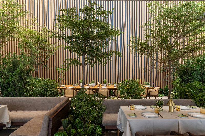 Olive trees, flowers, and ferns line the walkways at Boulud's Le Pavillon.