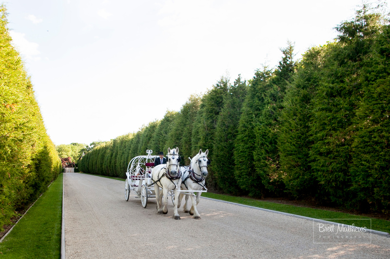 Horse and carriage at OHEKA CASTLE.