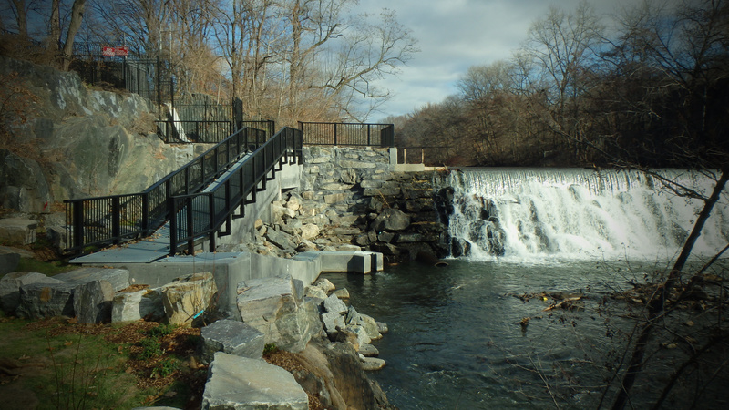 182 Street Dam, Photo courtesy of Natural Areas Conservancy 