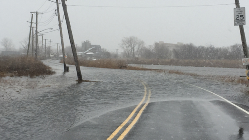 Flooding, Photo courtesy of Natural Areas Conservancy