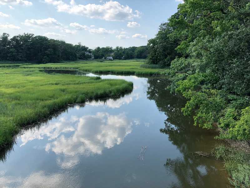 Lemon Creek, Photo courtesy of Natural Areas Conservancy