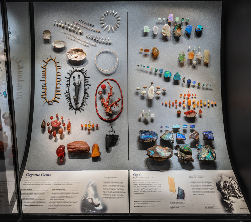 Organic Gems and Opal Display in the Allison and Roberto Mignone Hall of Gems at the American Museum of Natural History