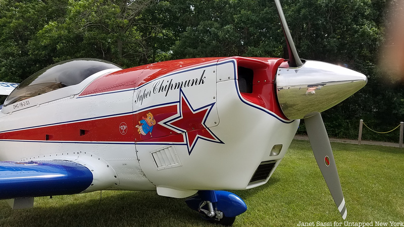 Bayport Aurodome vintage airplane chipmunk