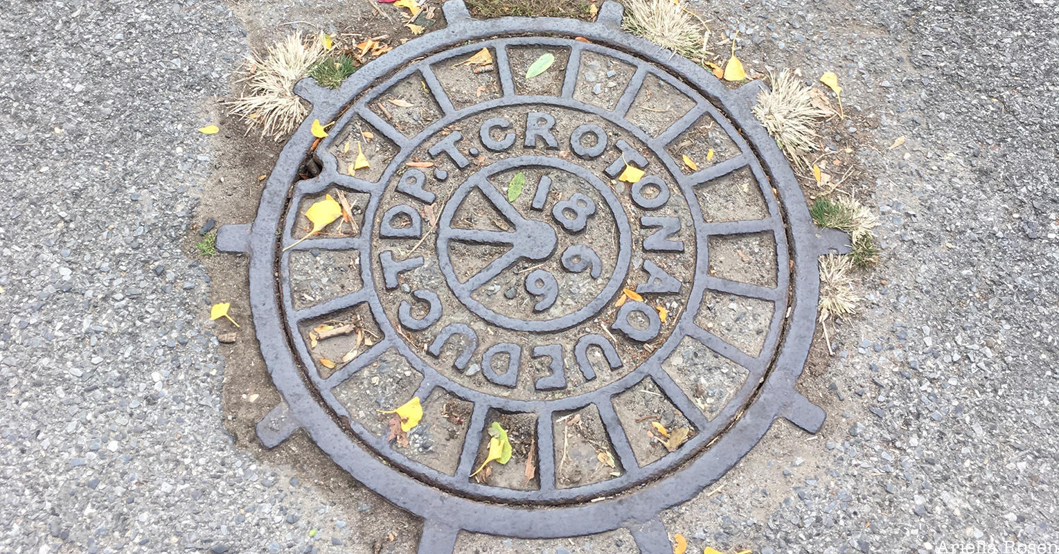 Central Park Manhole