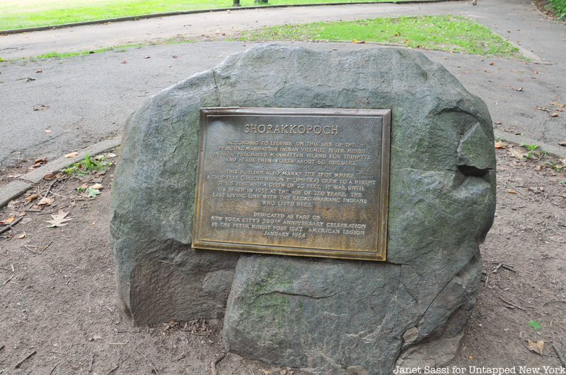 plaque marking a tree in Inwood Hill Park