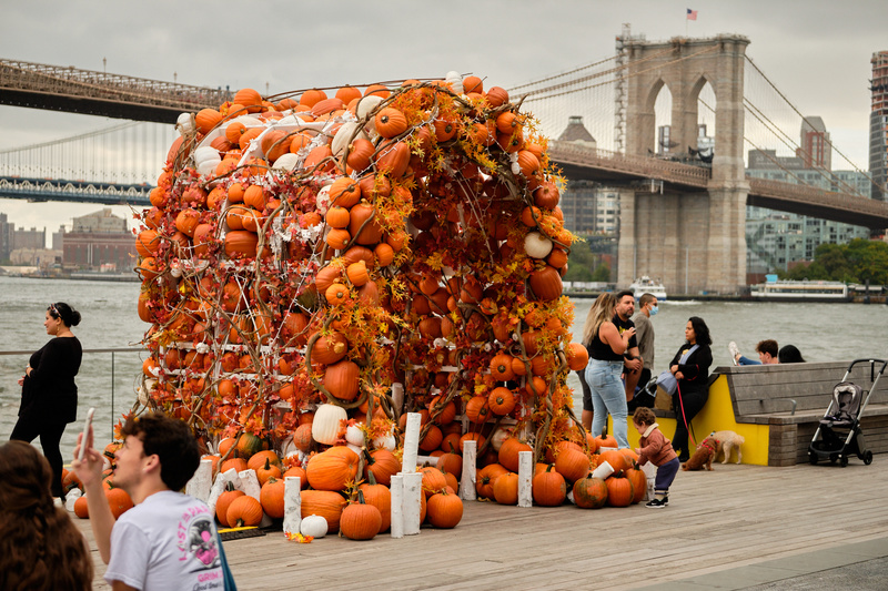 Pumpkin Arch at Seaport District. Photo by Dan Stahl.