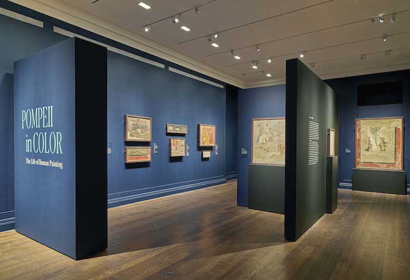 Installation view of Pompeii in Color